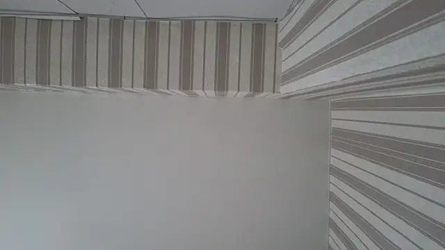 Snapshot of lily__foster chatting on 09/22/25, 05:42 lily foster online show from 09/22/25, 05:42