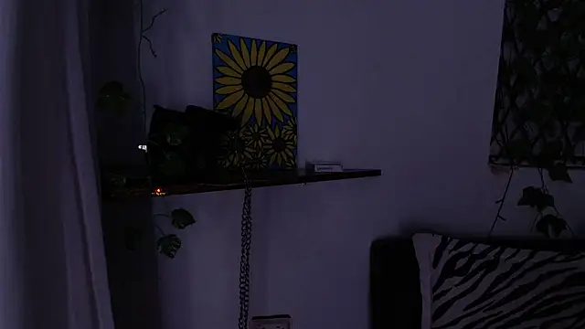 kisstarxxx online show from 07/08/26, 05:01