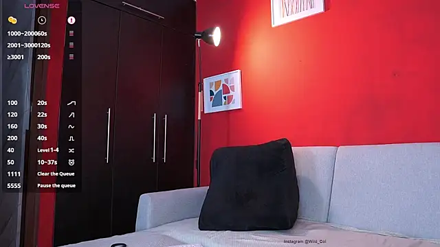 Snapshot of wild_col_ chatting on 11/01/25, 12:51 wild col online show from 11/01/25, 12:51