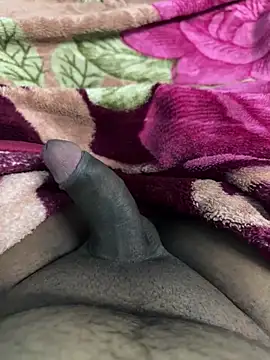 Honeydick7 online show from 11/04/25, 06:07