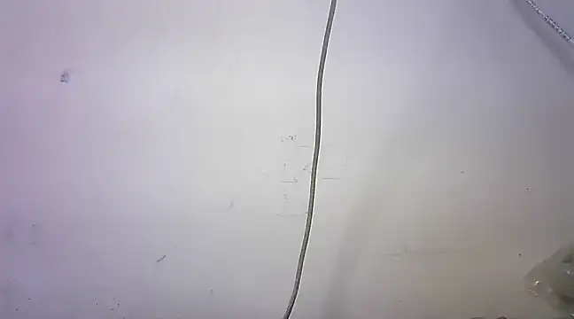 Snapshot of mrose8080 chatting on 03/06/25, 02:08 mrose8080 online show from 03/06/25, 02:08