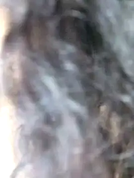 Doll Nepali online show from 12/29/24, 01:34