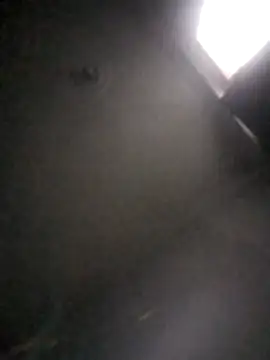 Snapshot of kevin613603 chatting on 02/01/26, 10:47 kevin613603 online show from 02/01/26, 10:47