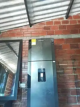 Yelly online show from 03/13/26, 03:40