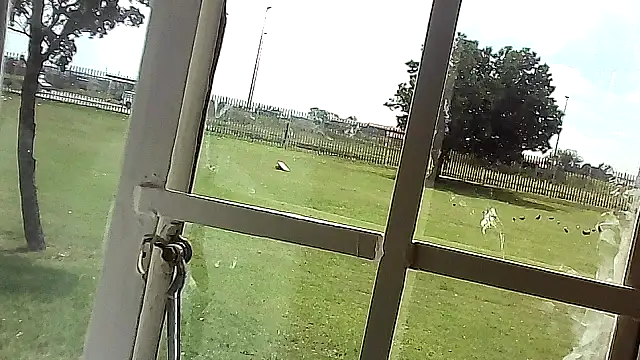 Yardie bone online show from 04/17/26, 10:40