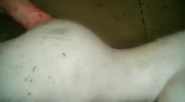 xxxlecram online show from 03/05/25, 09:48