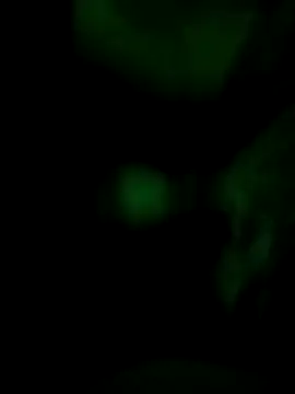 Snapshot of Vuyokaki chatting on 11/30/25, 02:37 Vuyokaki online show from 11/30/25, 02:37