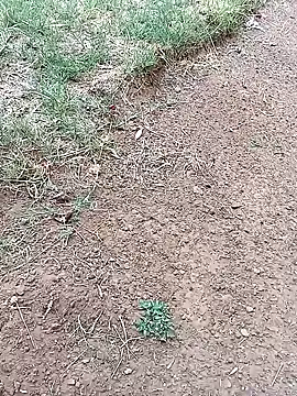 Snapshot of Vuyokaki chatting on 02/03/26, 03:06 Vuyokaki online show from 02/03/26, 03:06