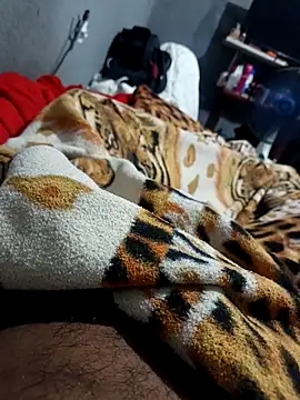 Mailsonp online show from 02/26/26, 03:33