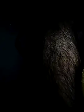 Bigcockmexi13 online show from 04/18/26, 07:29