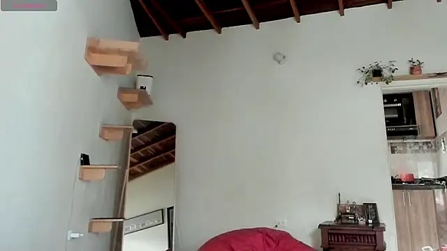 Rainbow leia online show from 02/21/26, 07:26