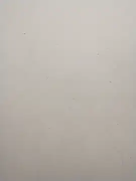 Shuttii 25 online show from 12/02/24, 06:21