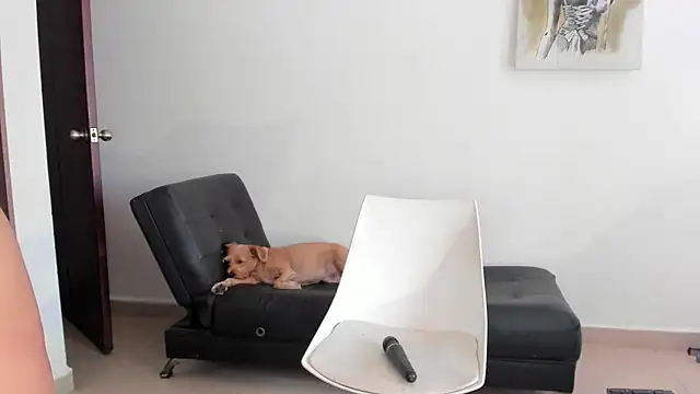 selene king2 online show from 12/10/24, 06:17