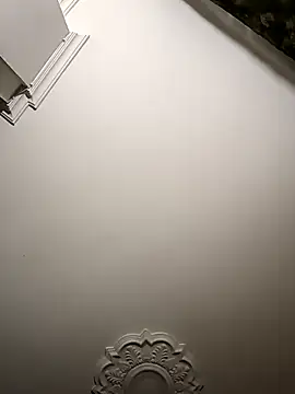 Snapshot of Mollly_n_david chatting on 11/12/25, 06:47 Mollly n david online show from 11/12/25, 06:47