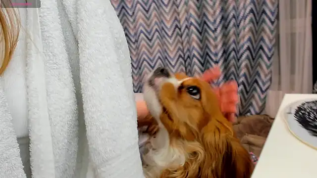 Peggy Beauty online show from 01/15/25, 12:19