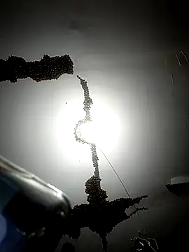 ColdVisitor online show from 02/06/26, 01:32