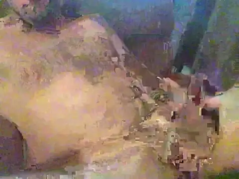 Snapshot of timmy88809 chatting on 02/18/26, 04:47 timmy88809 online show from 02/18/26, 04:47