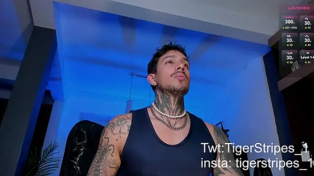 TigerStripes1  online show from 02/09/25, 05:40