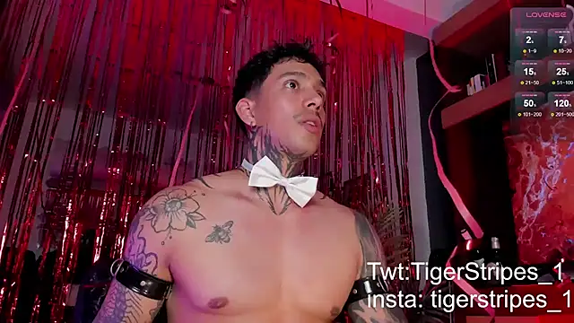 TigerStripes1  online show from 02/15/25, 12:15