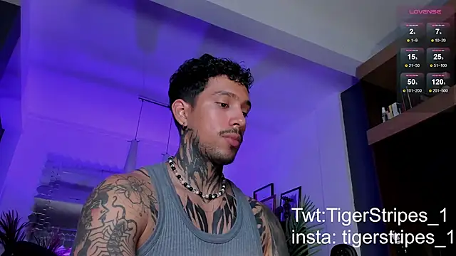 TigerStripes1  online show from 03/02/25, 01:47