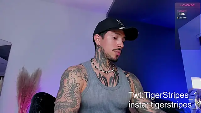 TigerStripes1  online show from 03/19/25, 12:59