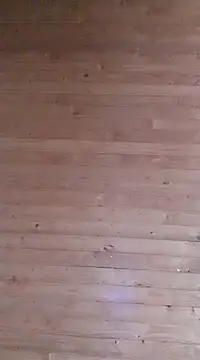 aliosa23 online show from 01/21/25, 11:35