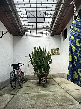 oliver price1 online show from 04/06/26, 02:40