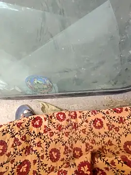 Kolkata   Boy online show from 02/18/25, 08:27