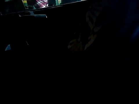 Kolkata   Boy online show from 09/16/25, 04:52