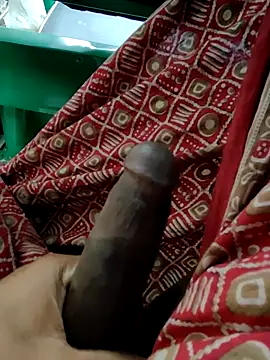 Kolkata   Boy online show from 01/11/26, 03:22